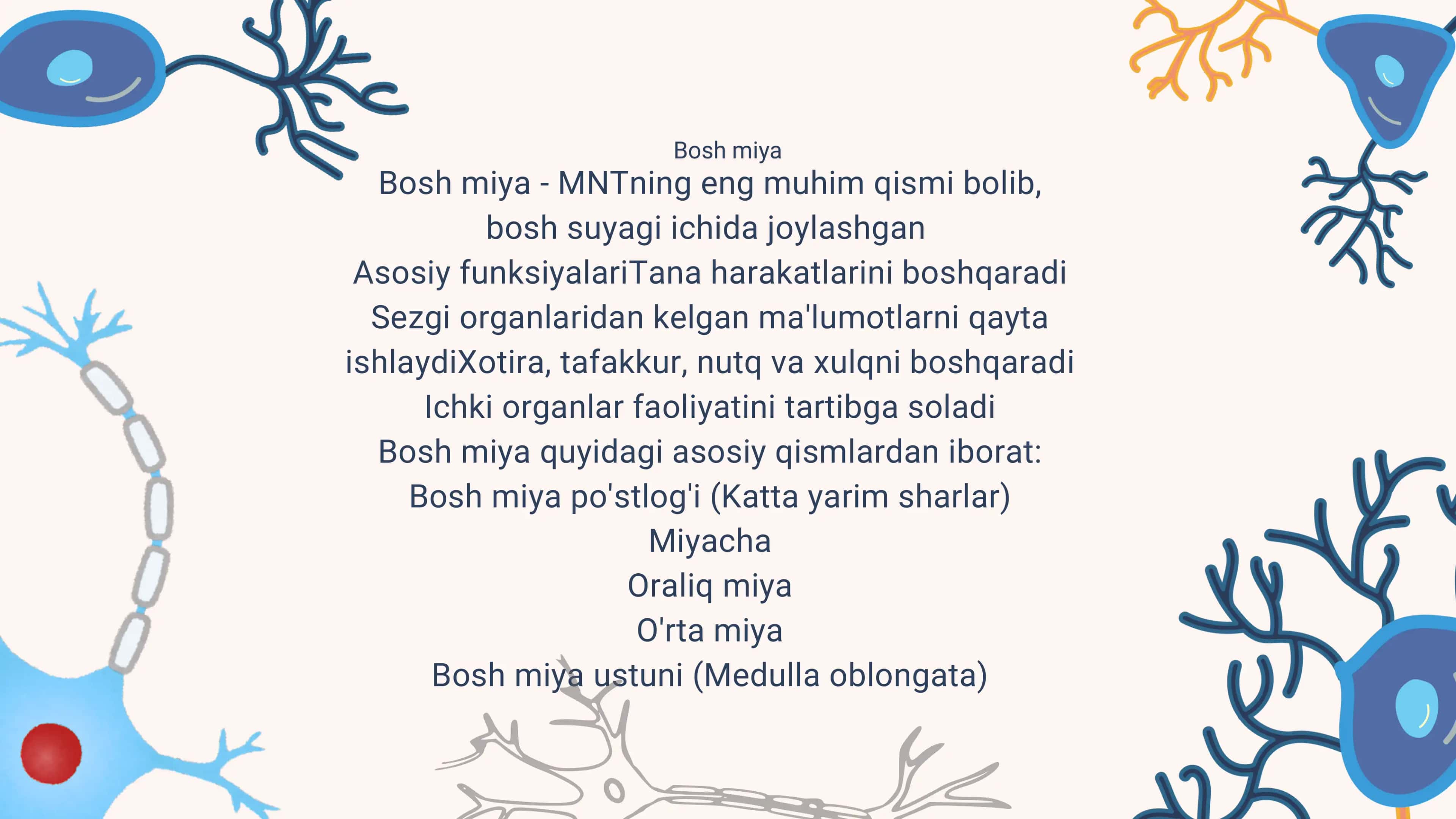 Bosh miya nervlari ,miyacha va poʻstloq 3
