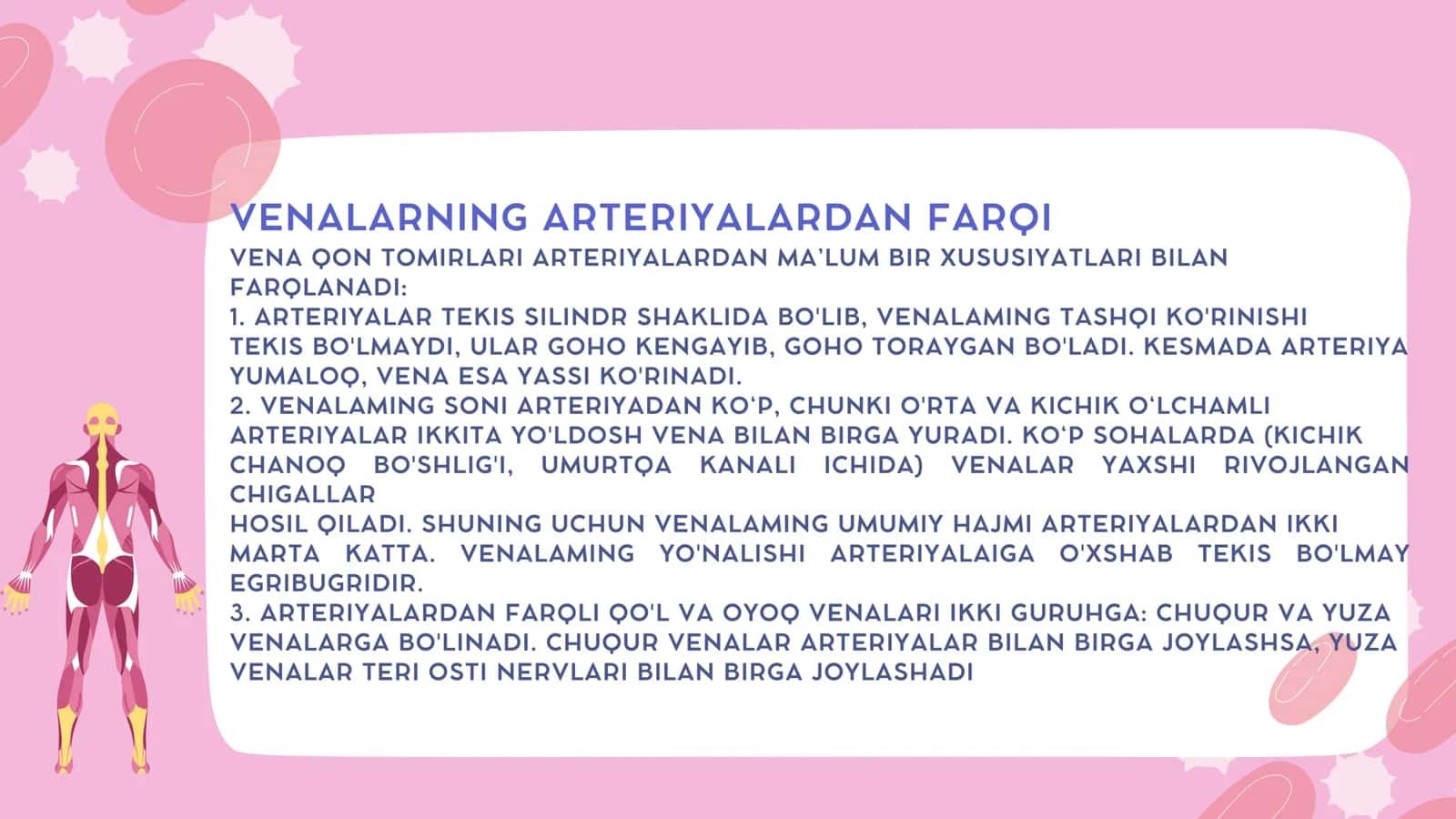 yuqori va pastki kovak venalar 3