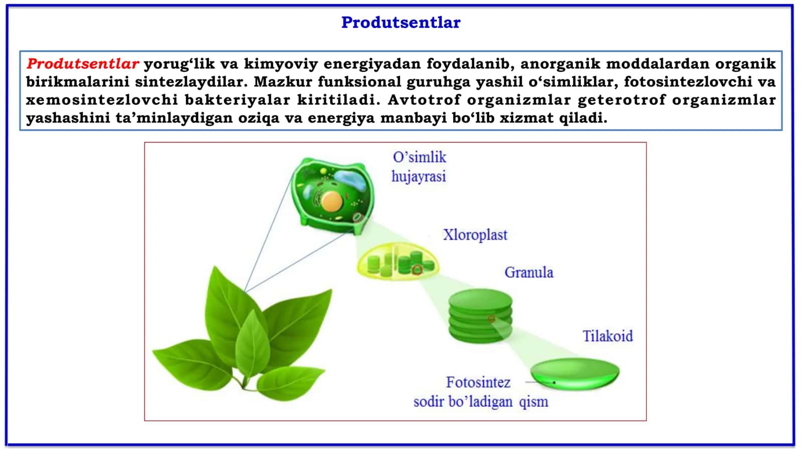 Oziq zanjiriga doir masalalar yechish metodikasi (1-qism) 3