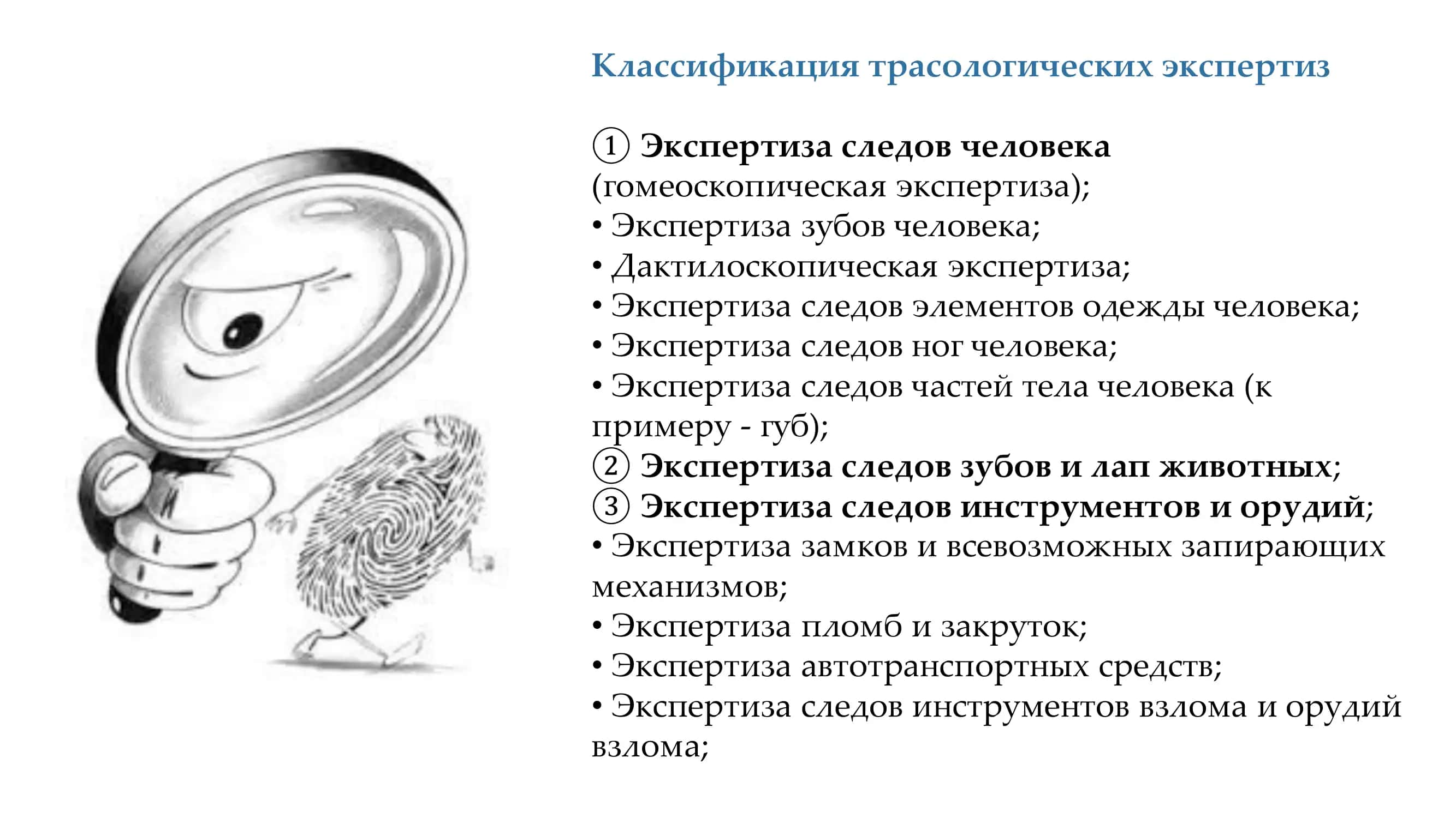 СУДЕБНО - ТРАСОЛОГИЧЕСКАЯ ЭКСПЕРТИЗА 3