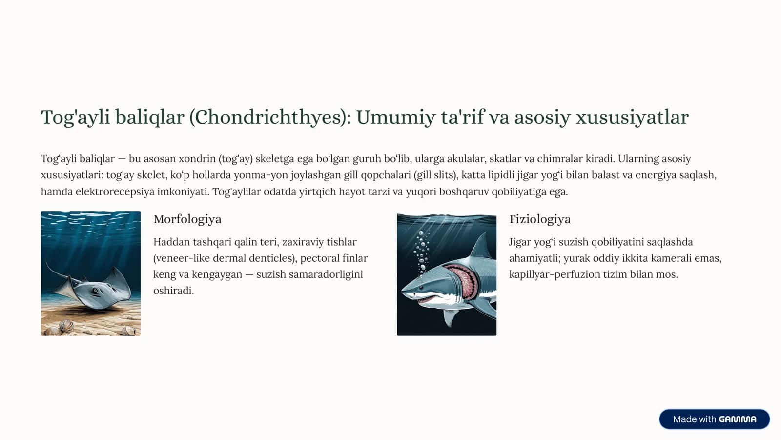 Tog'ayli va Suyakli Baliqlar: Morfologik va Fiziologik Xususiyatlarning Qiyosiy Tahlili 3