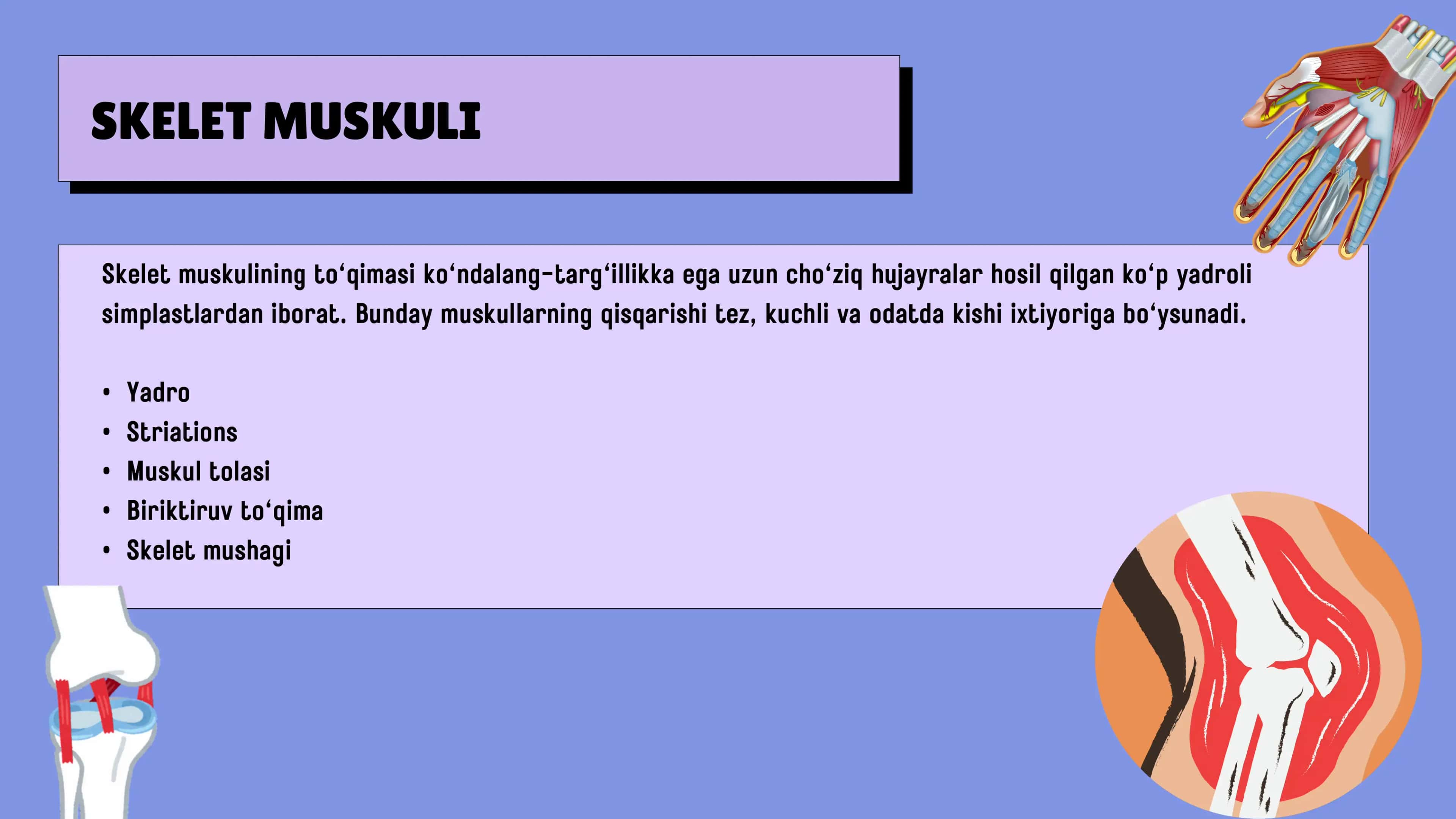 Kondalang targ'il va silliq mushaklarning qisqarish mexanizmi 3