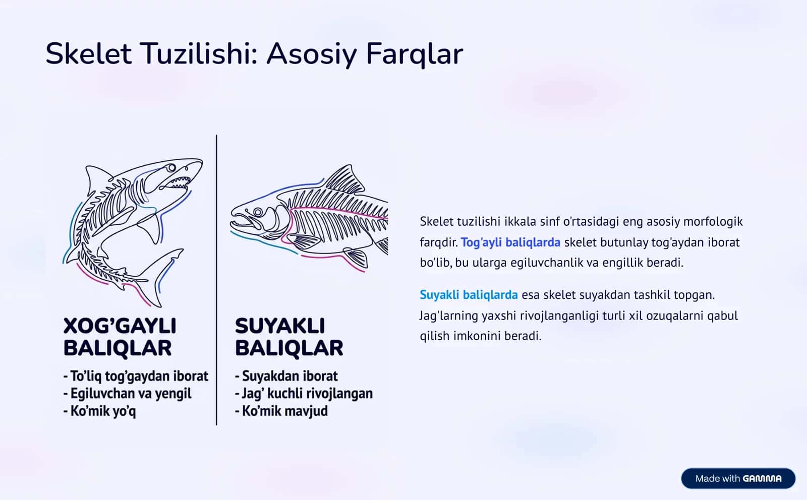 Baliqlarning Qiyosiy Tavsifi 3