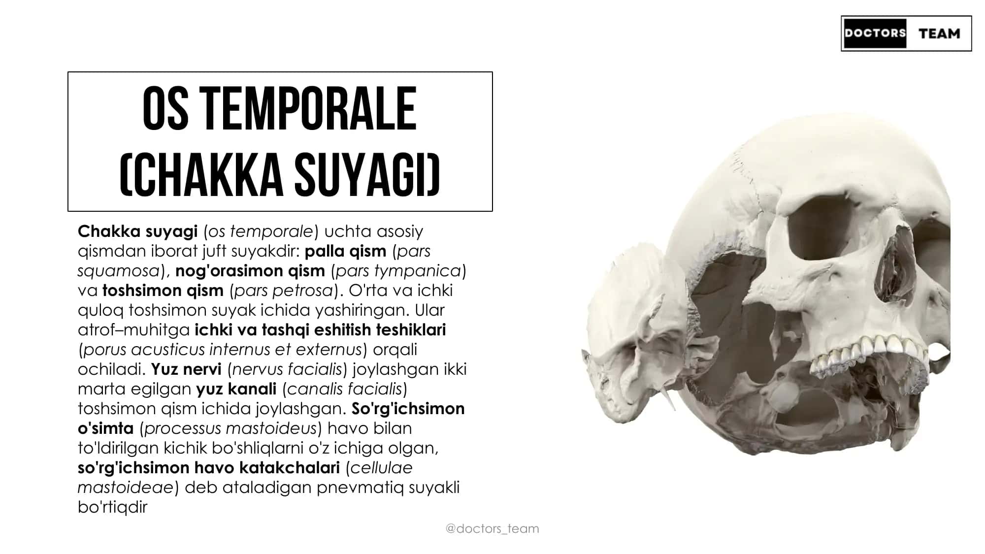 Chakka suyagi (os temporale) 3