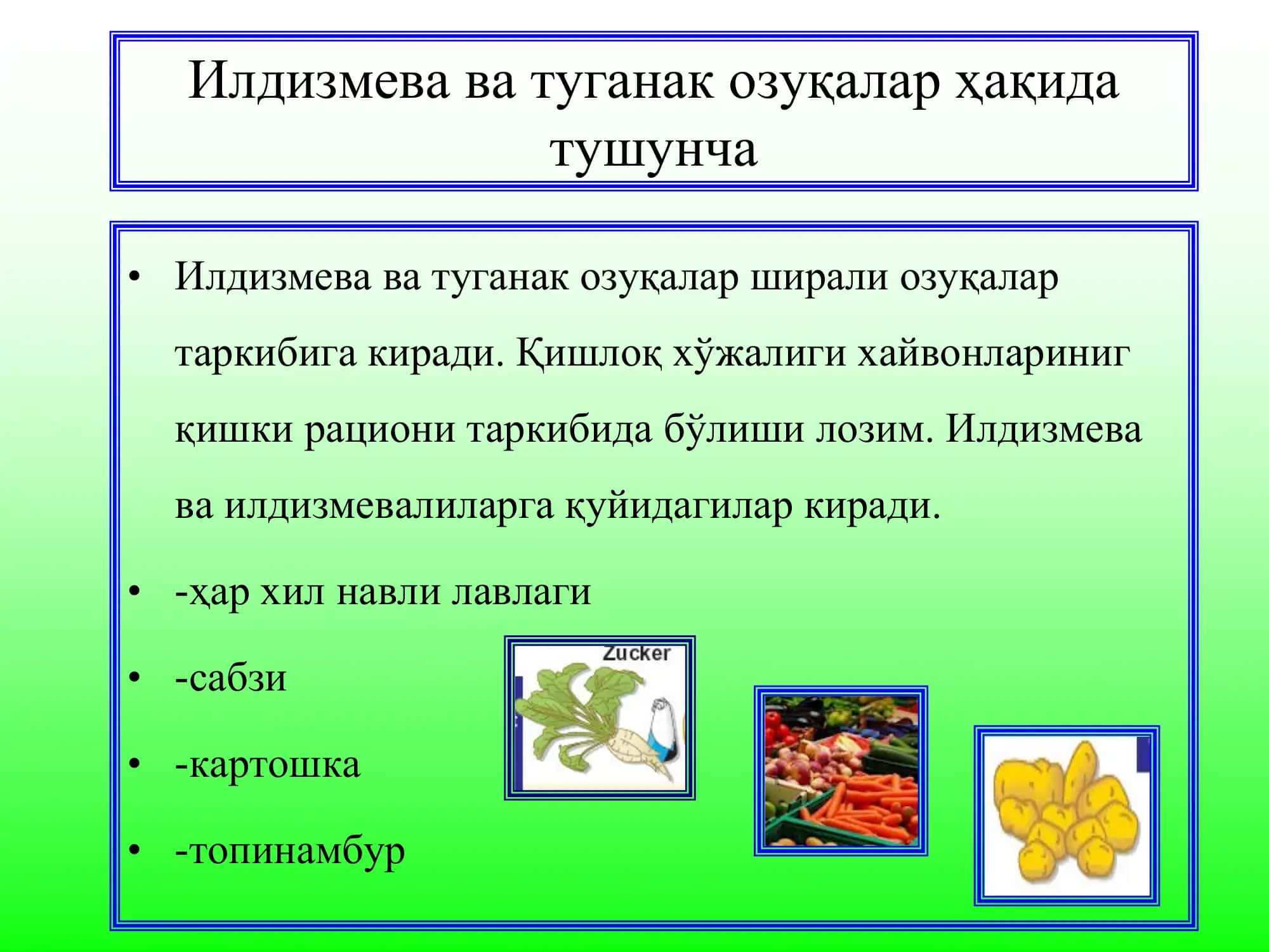 Илдизмева ва туганак озуқалар 3