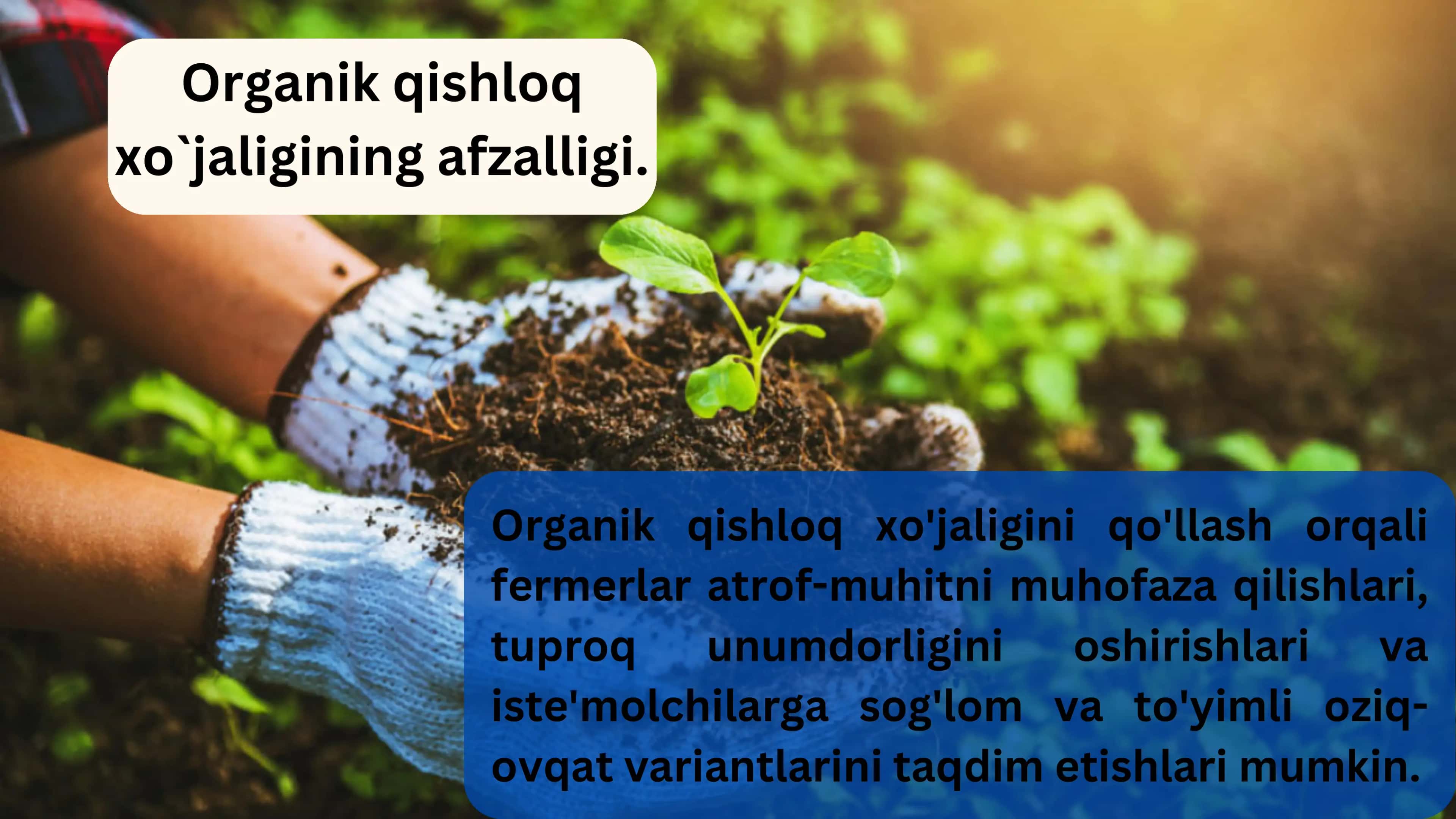 Organik qishloq xo`jaligiga o`tishning xususiyatlari 3