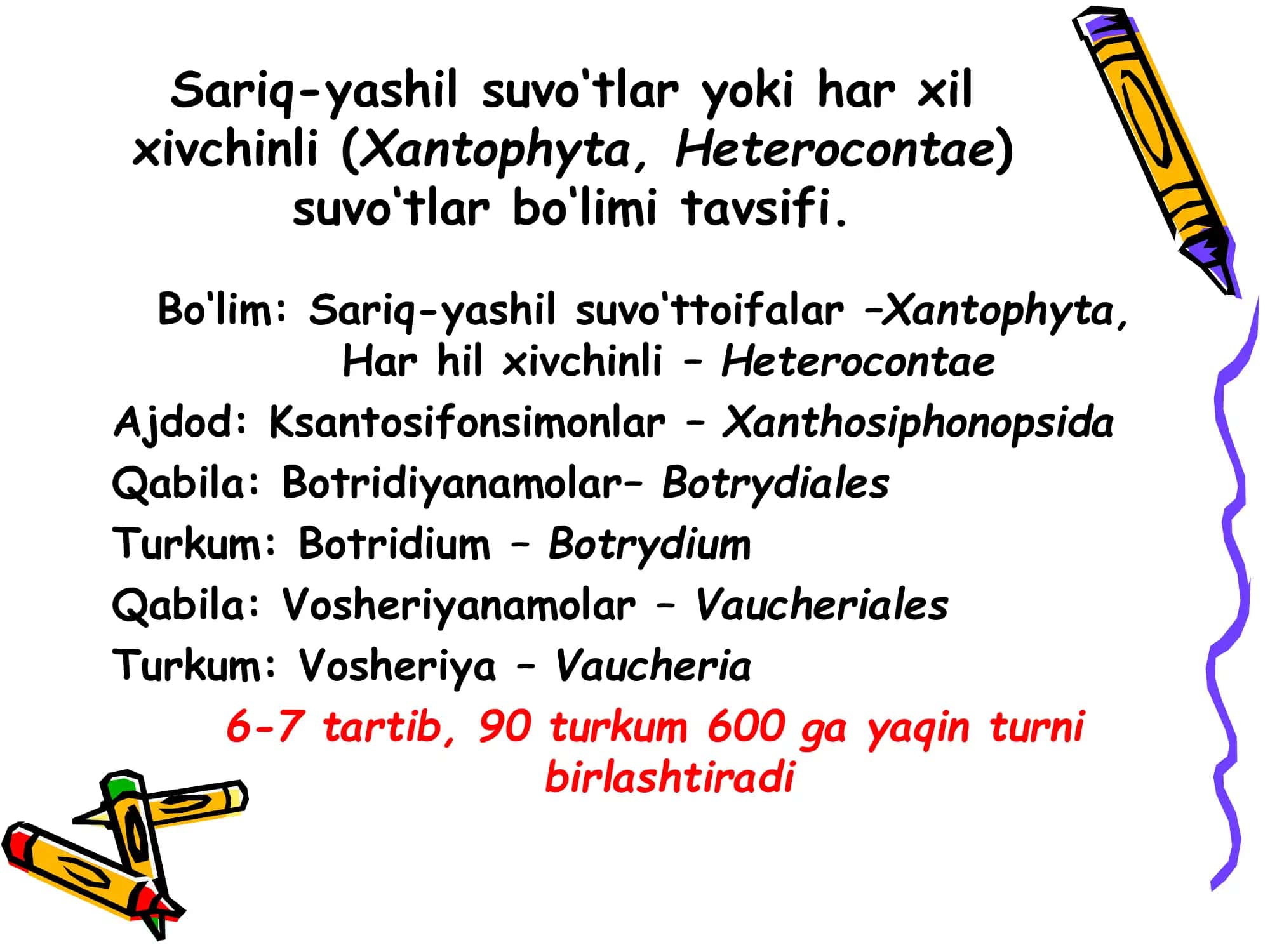 Sariq-yashil, pirrofit, diatom va oltin-tusli suvo'tlar bo'limi 3