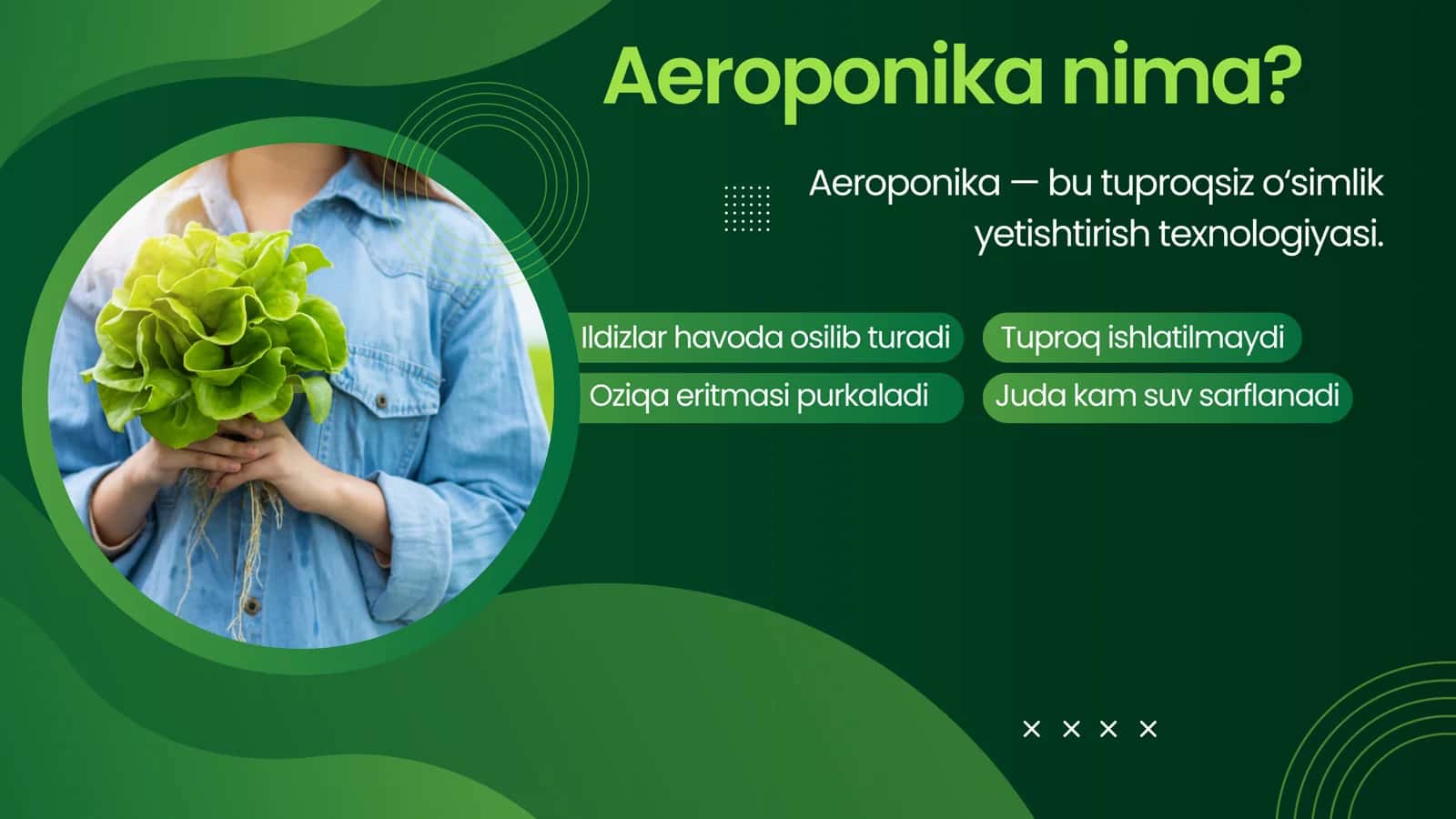 Aeroponika prezentatsiya 3