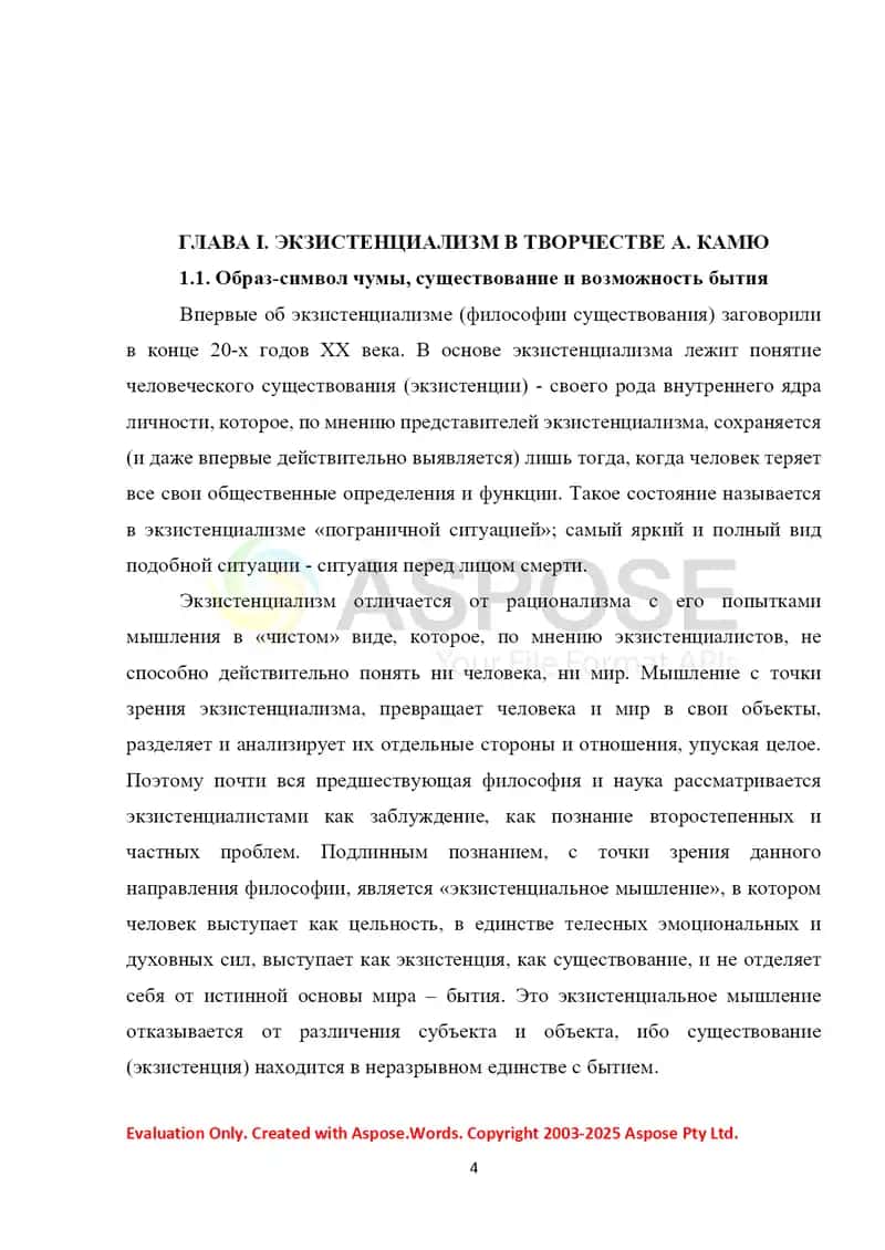 "Образ чумы в произведении А. Камю «Чума»" 4