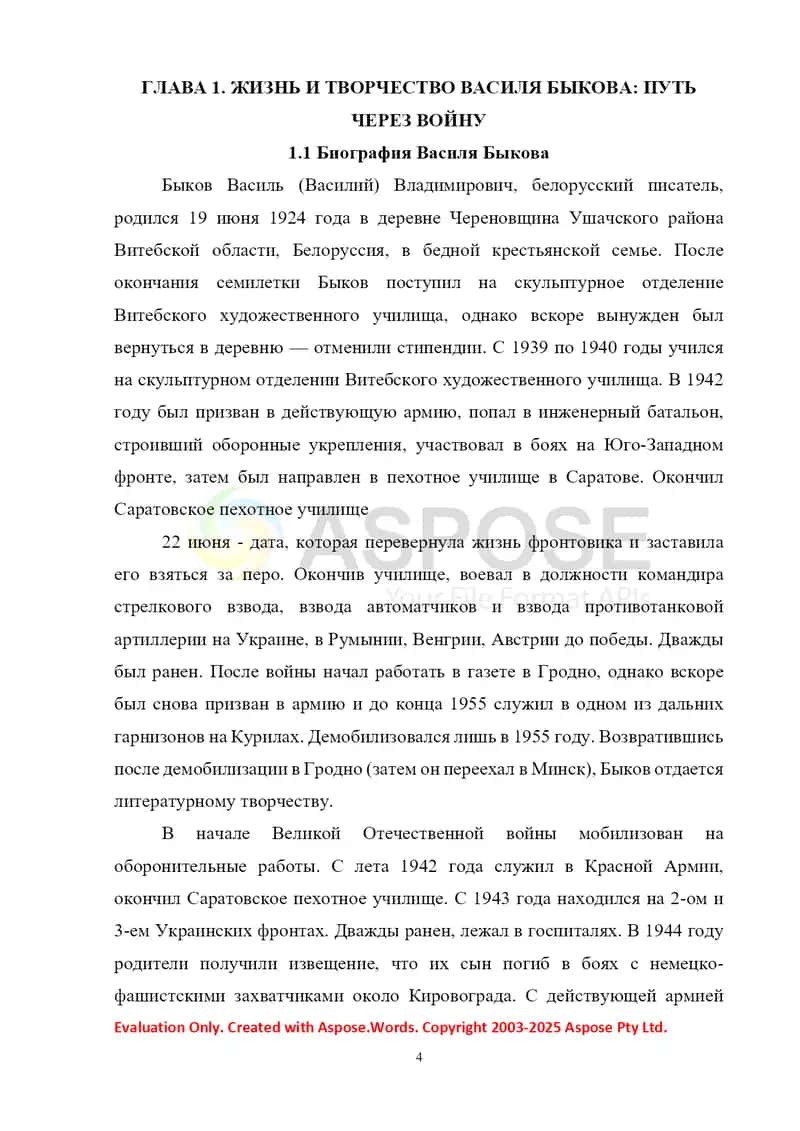 Военная лексика в произведениях В. Быкова 4