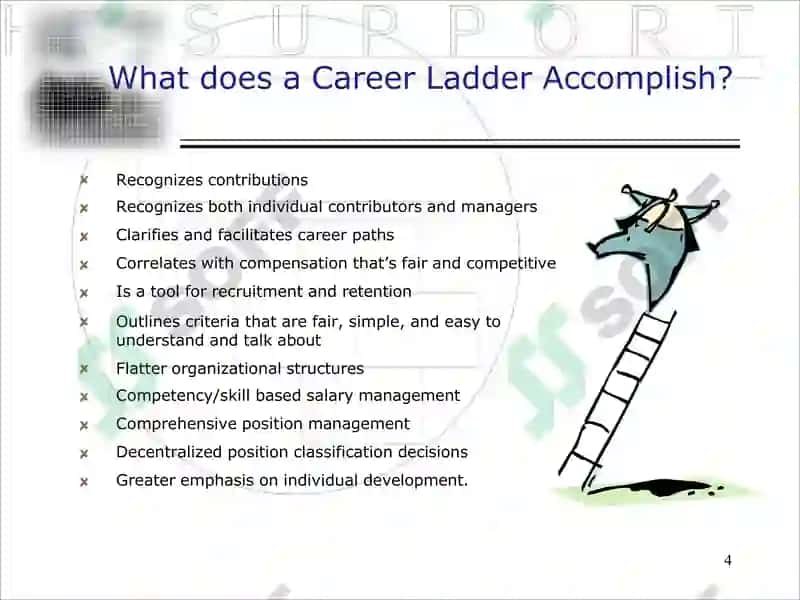 Career Ladder 4