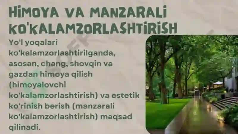 Sibir karag'anasi (Karagana), Zirk (Barbaris,), Atirgul butalari, Bargi tushmaydigan doimiy yashil butalar 4