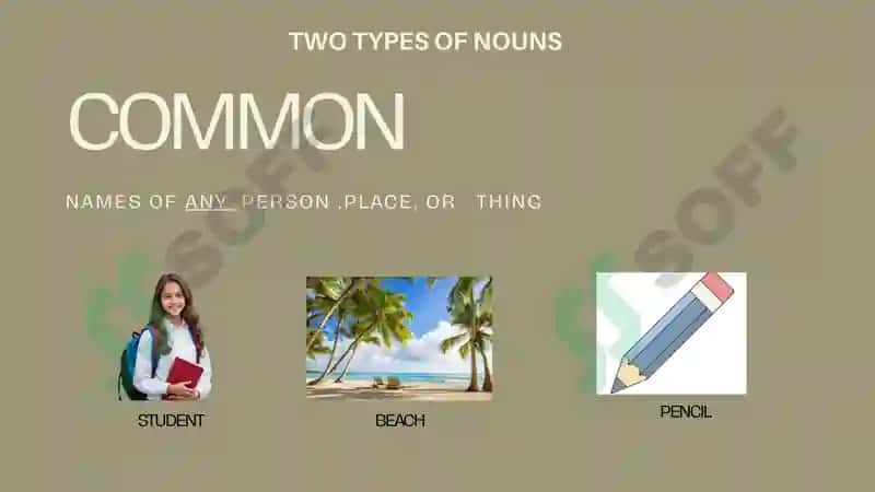 noun 4
