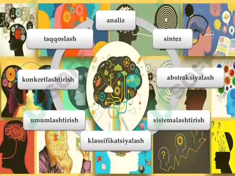 Tafakkurning Klassifikatsiyalash Xususiyatlari 4