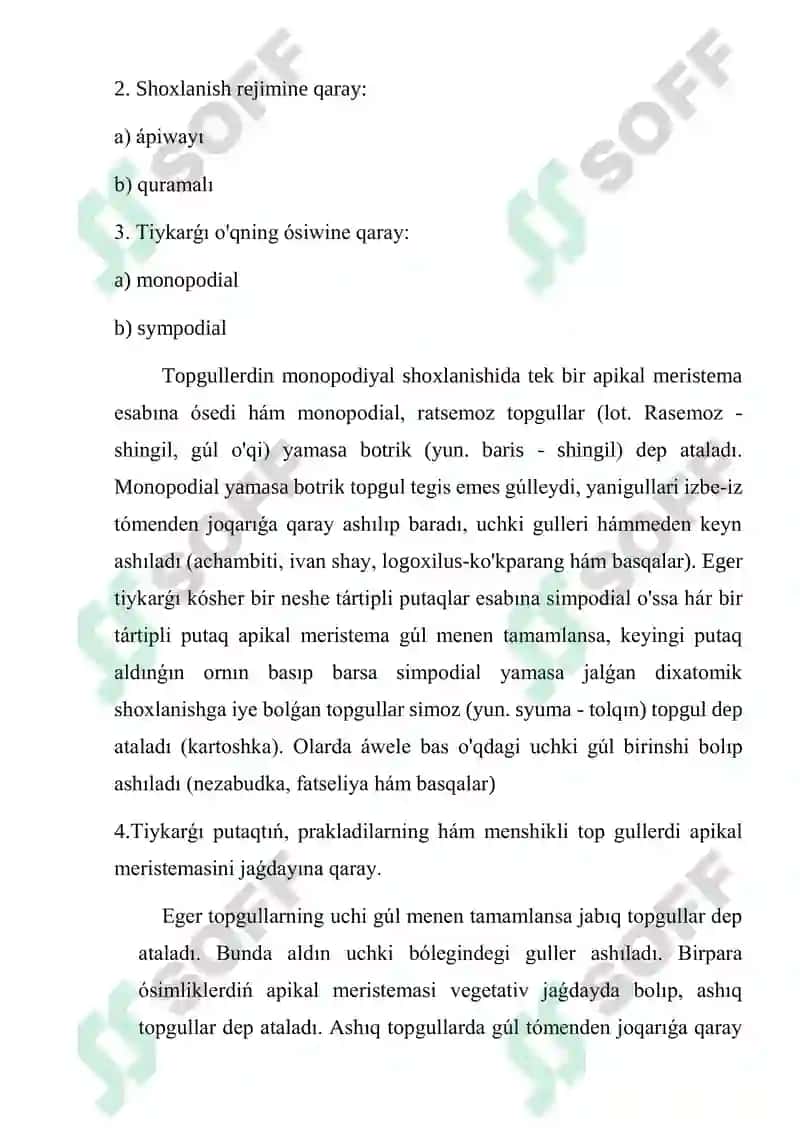 Apiwayi ham quramali topgul 4
