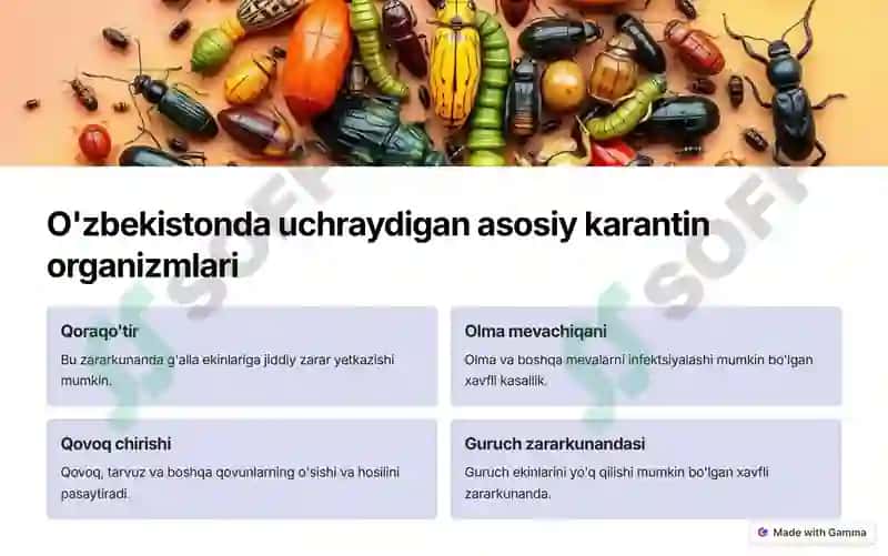 O'zbekistonda uchraydigan karantin organizmlari 4