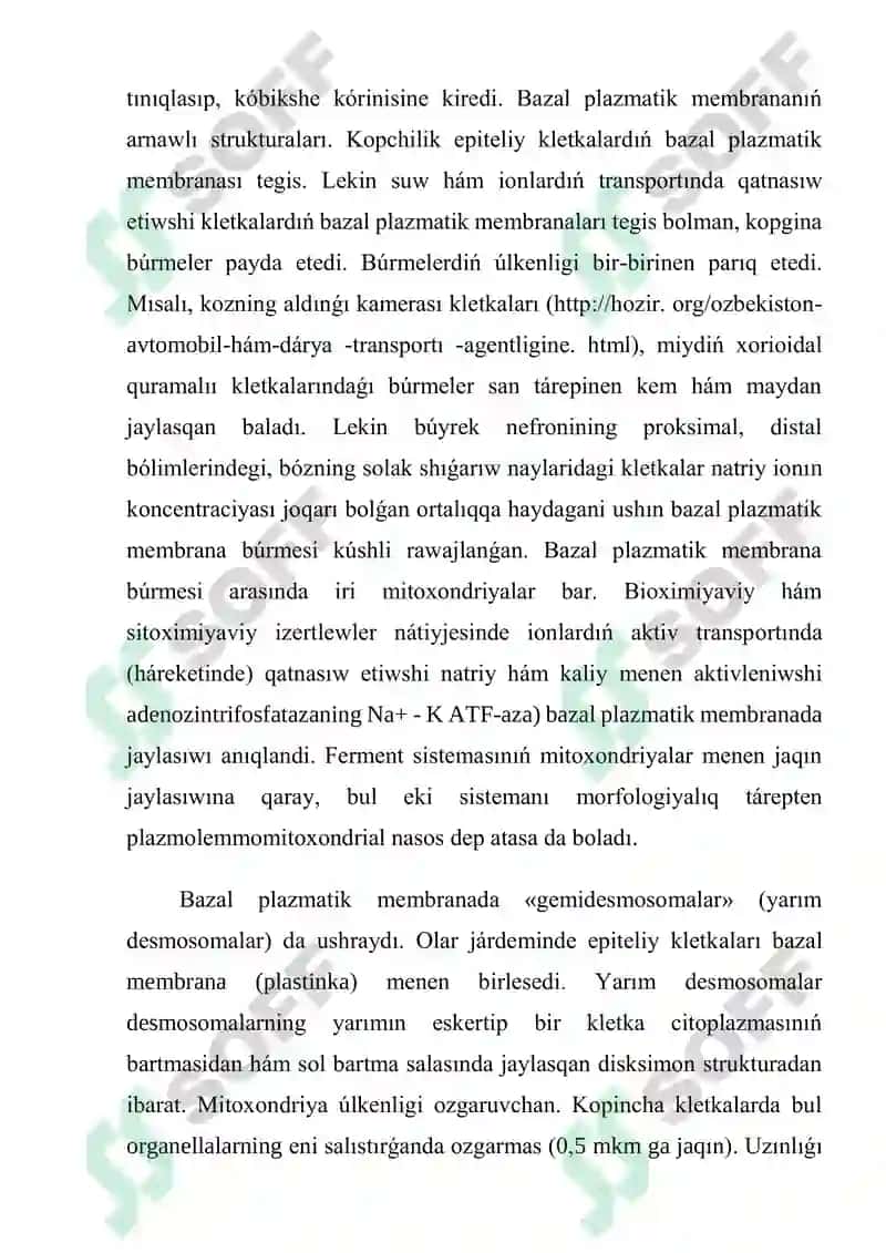 Kletka hám orgenellardiñ morfologik tárepten dúzilislik tiykari 4