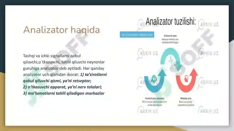 Sezgi haqida umumiy tushuncha 4