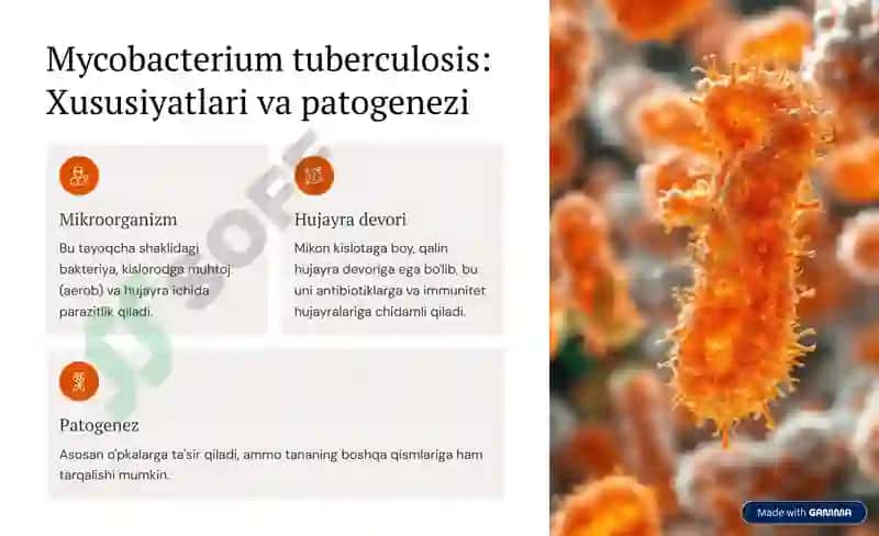 Tuberkulyoz etiologiyasi va mikrobakteriyaning dorilarga chidamliligi 4