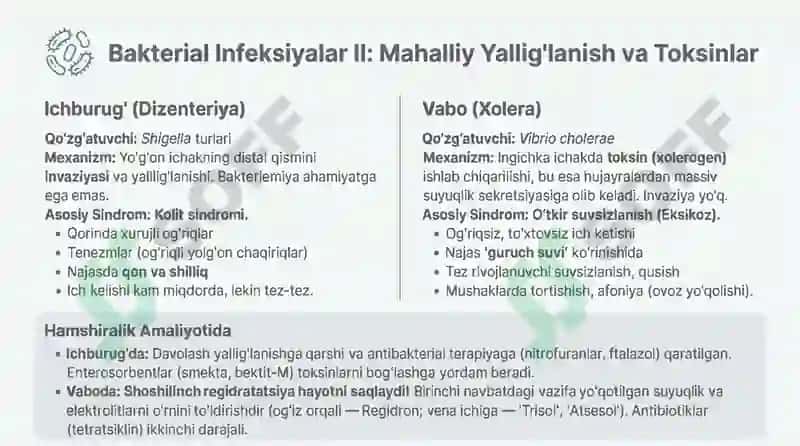 Yuqumli ichak kasalliklari. Bakterial lnfeksiyalar 1: Tizimli Bosqin - Qorin Tifi (Salmonella typhi) 4