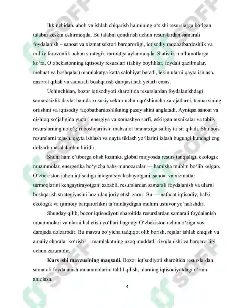 Bozor iqtisodiyoti sharoitida resurslardan samarali foydalanish muammolari 4