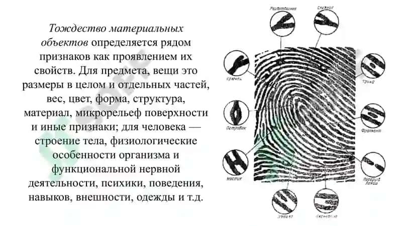 КРИМИНАЛИСТИЧЕСКАЯ ИДЕНТИФИКАЦИЯ И ДИАГНОСТИКА 4