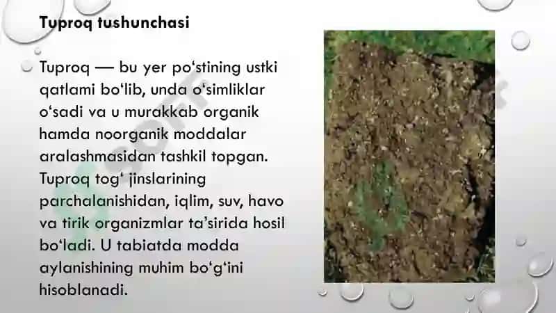 Tuproq va uning tabiiy xususiyatlari 4