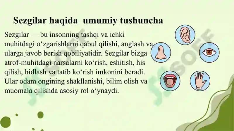 sezgi haqida umumiy tushuncha 4