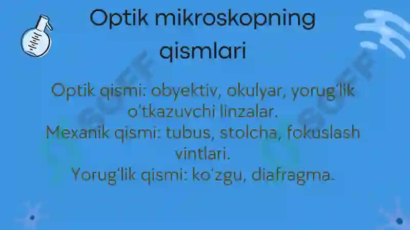 Mikroskop 4