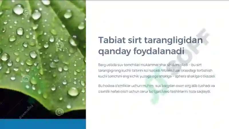 Sirt tarangligini tomchi uzulish usuli yordamida aniqlash 4