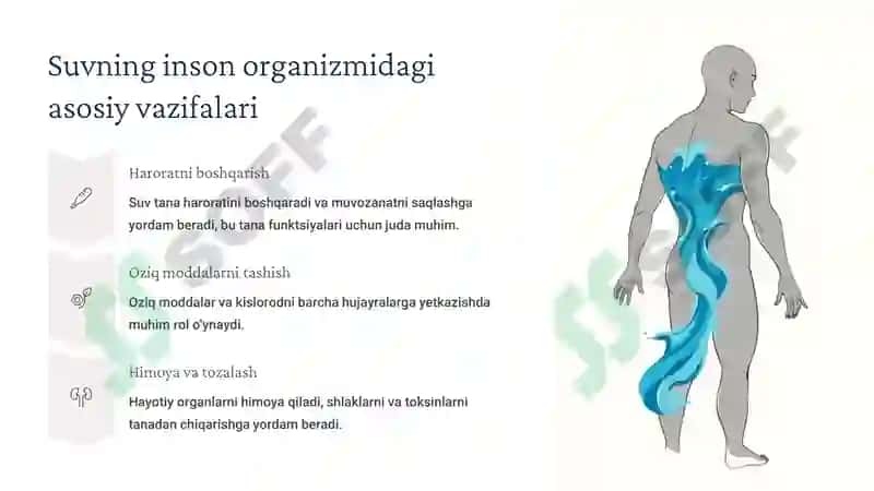 Suvning inson organizmida roli va suv iste’moli me’yorlari 4