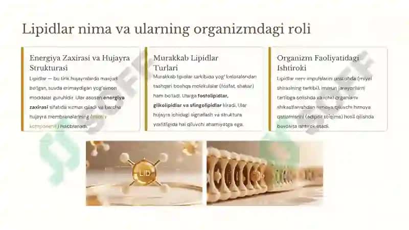 Murakkab lipidlar almashinuvi va yog‘lar almashinuvini boshqarish 4