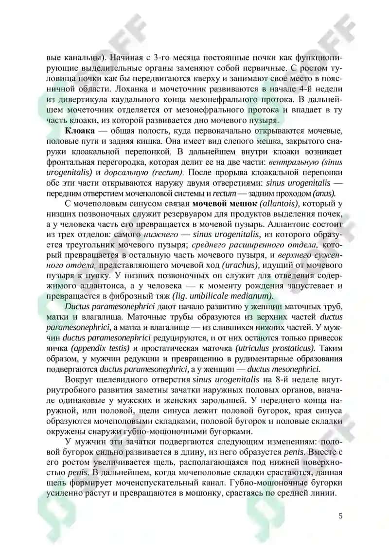 Аномалии мочеполовых органов 5