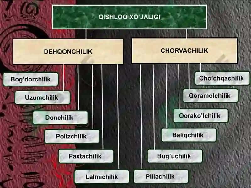 Qishloq xo'jaligi va sanoat 5