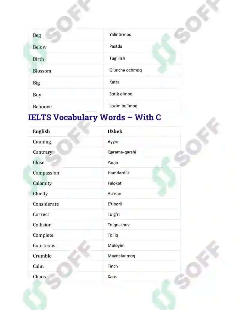 IELTS Vocabulary Words – IELTS 1000 ta so'z 5