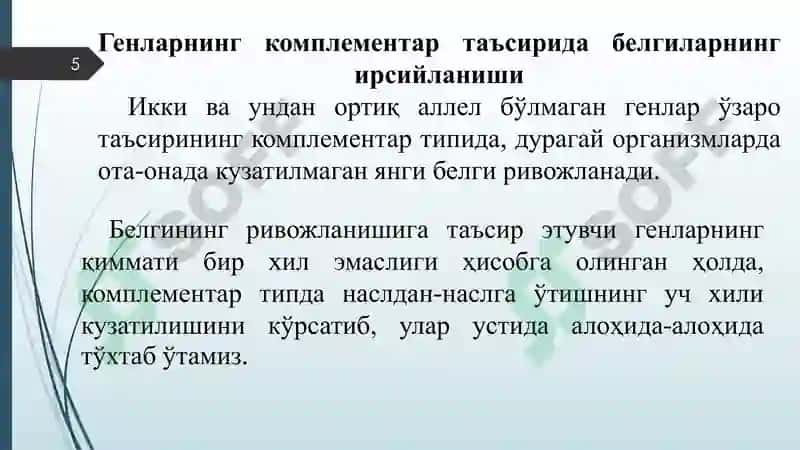 Генларнинг комплементар, эпистатик ва полимер таъсири 5