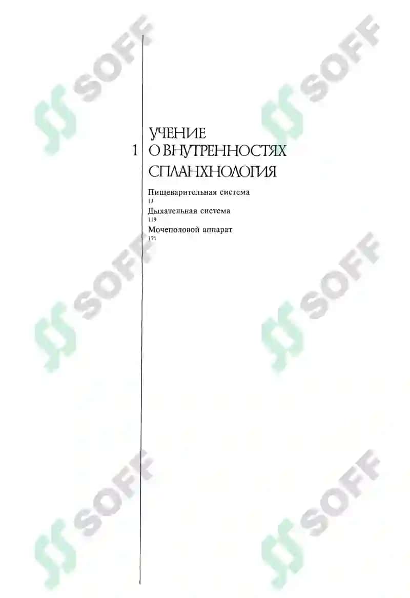 Odam anatomiyasi atlasi 5
