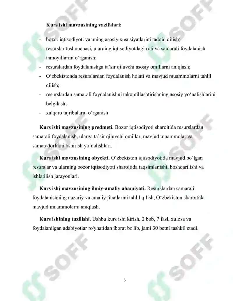 Bozor iqtisodiyoti sharoitida resurslardan samarali foydalanish muammolari 5