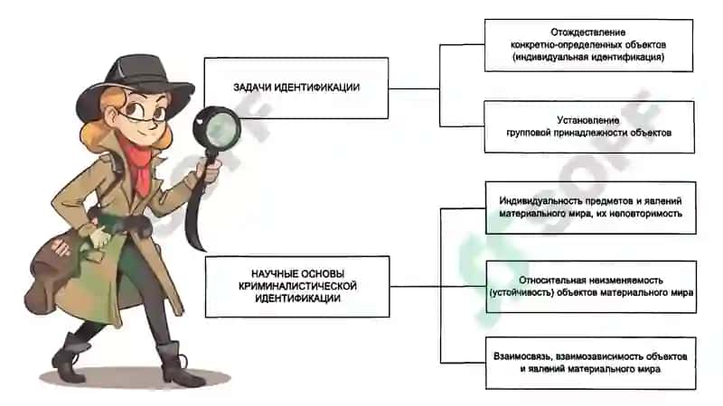 КРИМИНАЛИСТИЧЕСКАЯ ИДЕНТИФИКАЦИЯ И ДИАГНОСТИКА 5