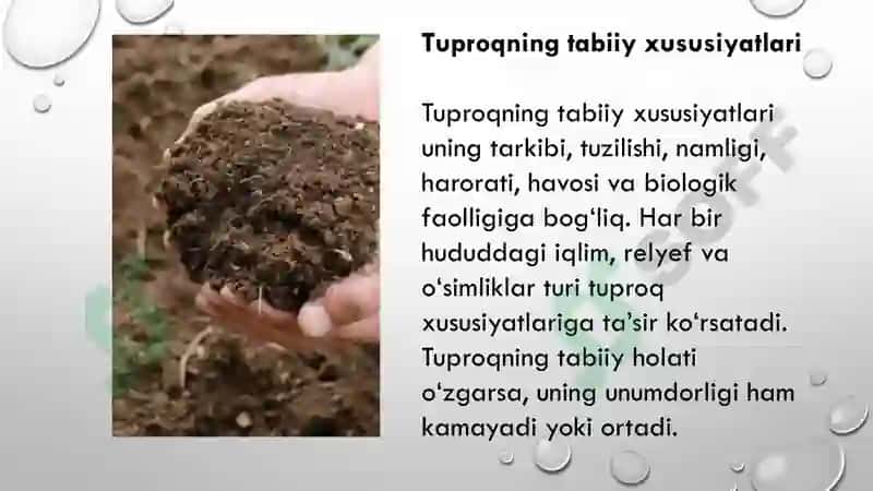 Tuproq va uning tabiiy xususiyatlari 5