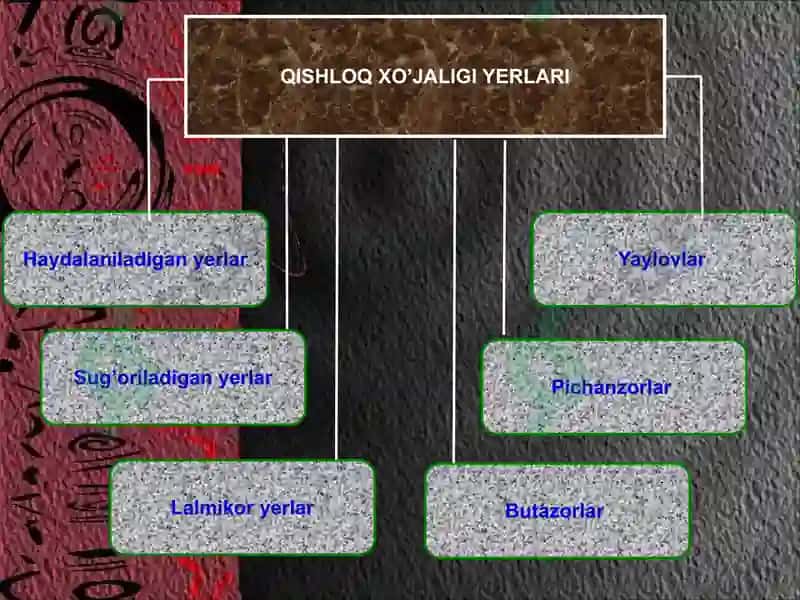 Qishloq xo'jaligi va sanoat 6