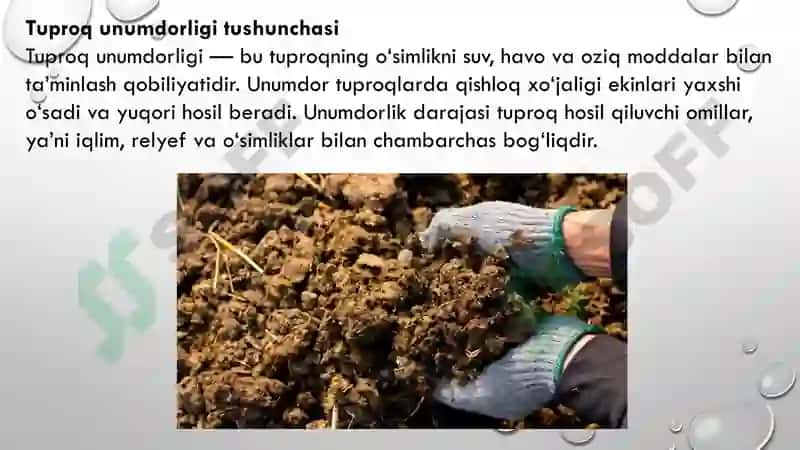 Tuproq va uning tabiiy xususiyatlari 6