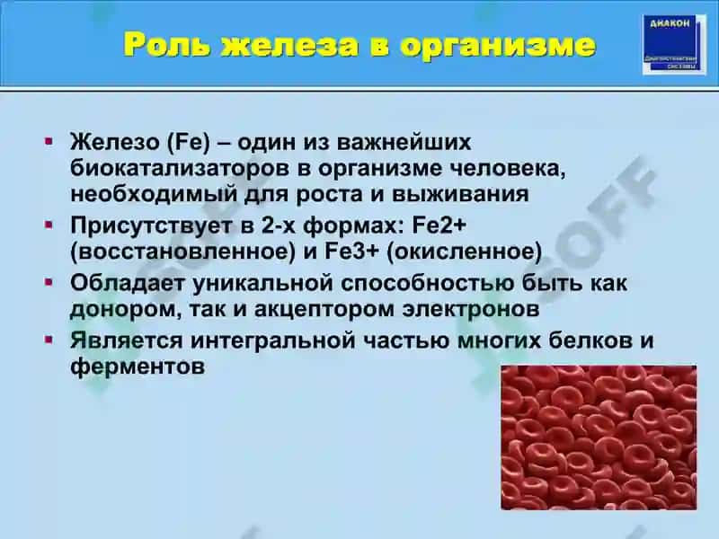 Метаболизм железа и лабораторная диагностика его нарушений 6