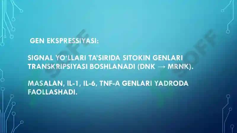 Mikrobiologiya mustaqil ish 6