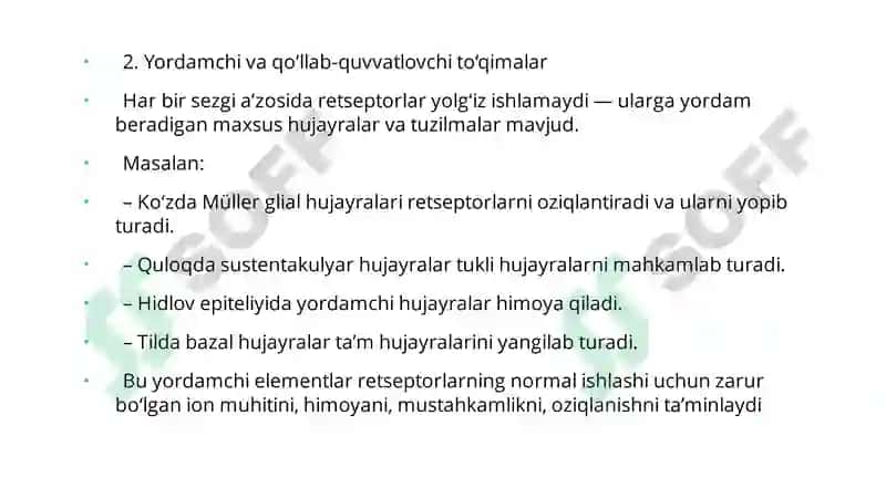 Sezgi a'zolari gistologiyasi 6