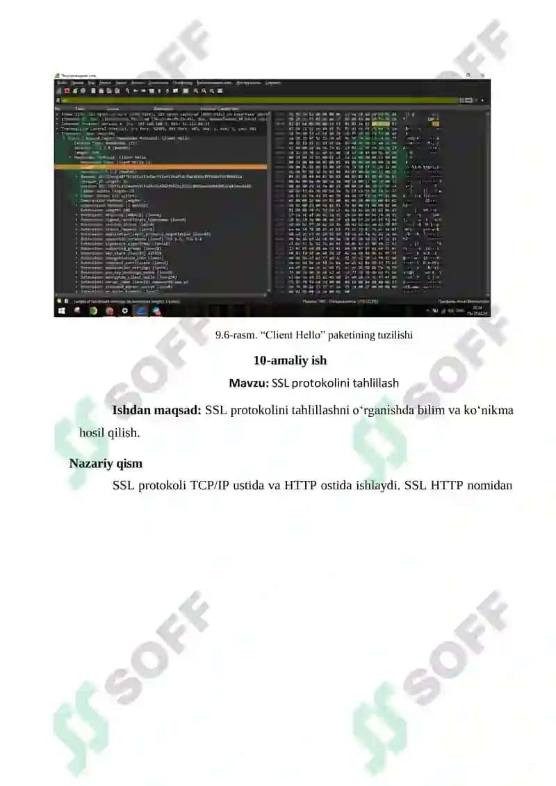 Wireshark ilovasi yordamida SSL paketini tahlili 6