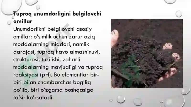 Tuproq va uning tabiiy xususiyatlari 7