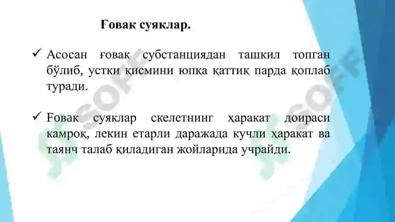 ОСТИОЛОГИЯ 7