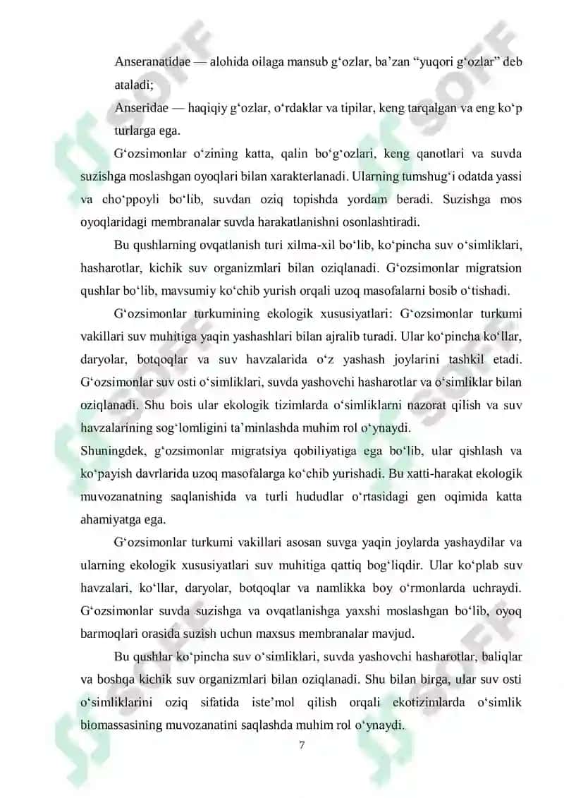 GʻОZSIMONLАR TURKUMI HАQIDА UMUMIY TUSHUNCHА 7