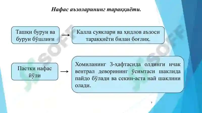 НАФАС ОЛИШ / nafas olish 7